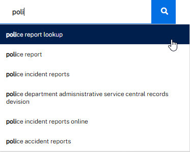 Site search autocomplete suggestion example